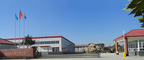 نبذة عن الشركة